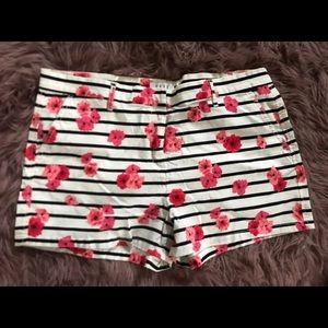 Elle floral plus size shorts